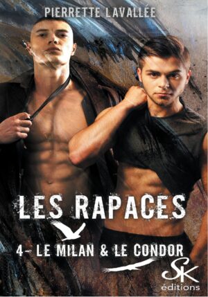 Les Rapaces 4 : Le Milan et le Condor de Pierrette Lavallée