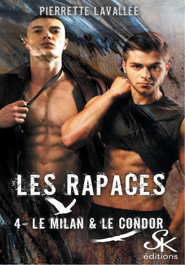 Les Rapaces 4 : Le Milan et le Condor de Pierrette Lavallée